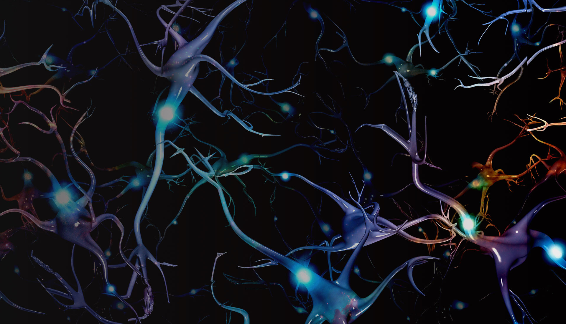 Concussion & Traumatic Brain Injury (TBI)